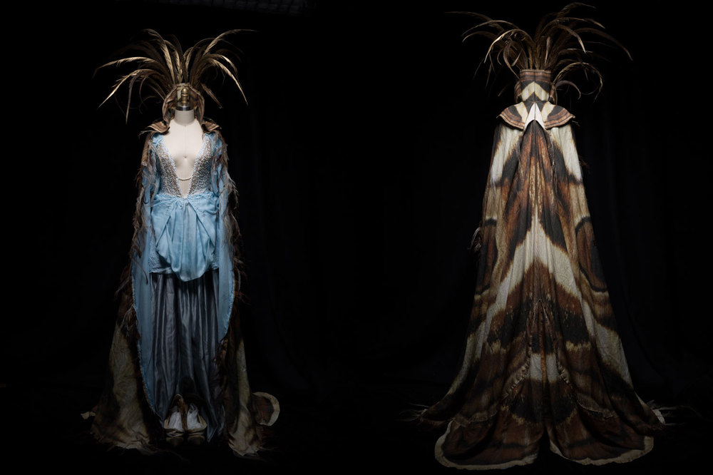 The final moth gown