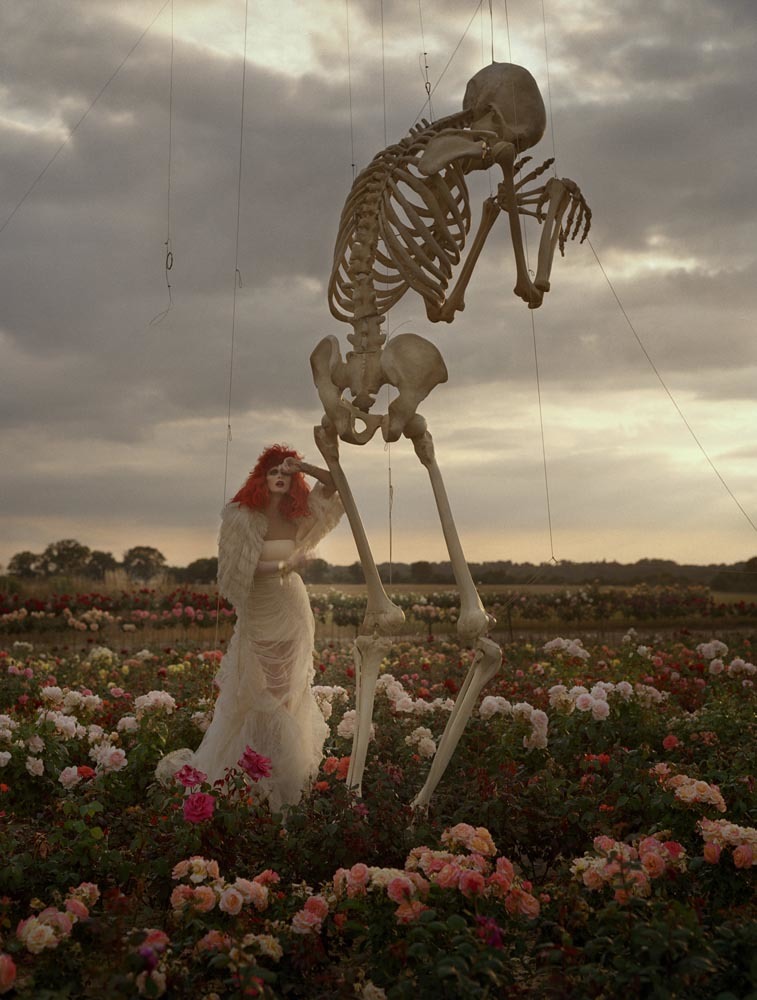 Image © Tim Walker